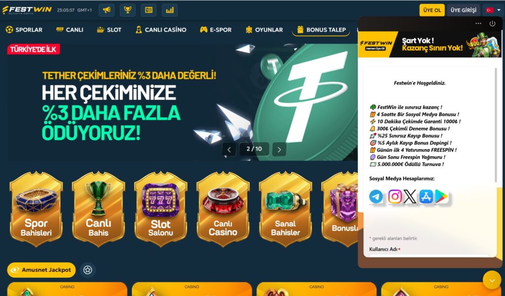 festwin canlı destek