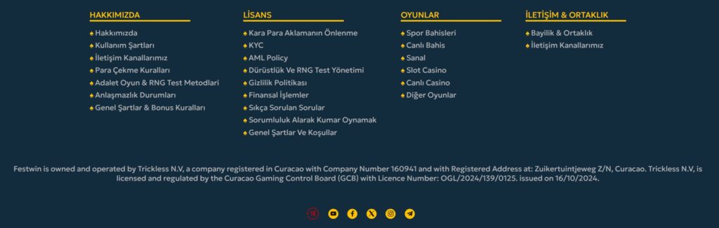 festwin lisans bilgileri